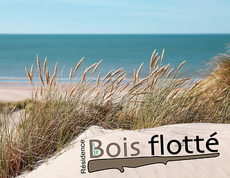 Logo PLAGE BF.jpg